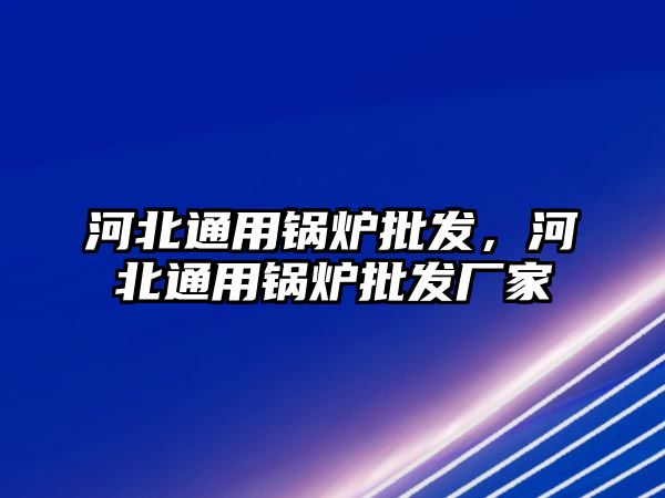 河北通用鍋爐批發，河北通用鍋爐批發廠家