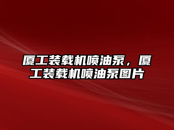 廈工裝載機噴油泵，廈工裝載機噴油泵圖片