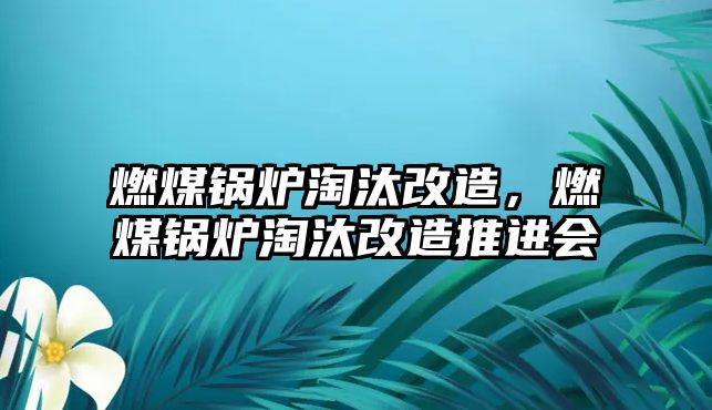 燃煤鍋爐淘汰改造，燃煤鍋爐淘汰改造推進(jìn)會(huì)