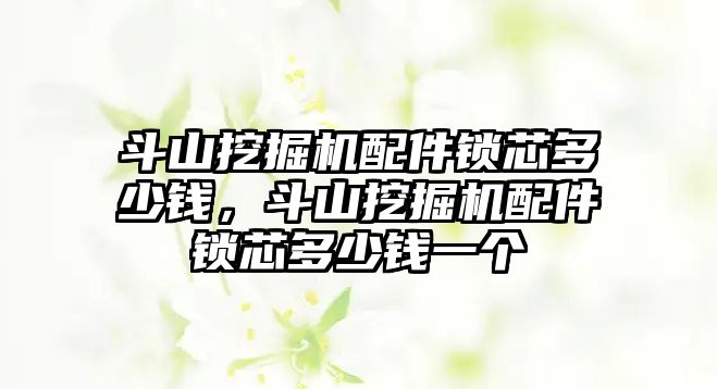 斗山挖掘機配件鎖芯多少錢，斗山挖掘機配件鎖芯多少錢一個