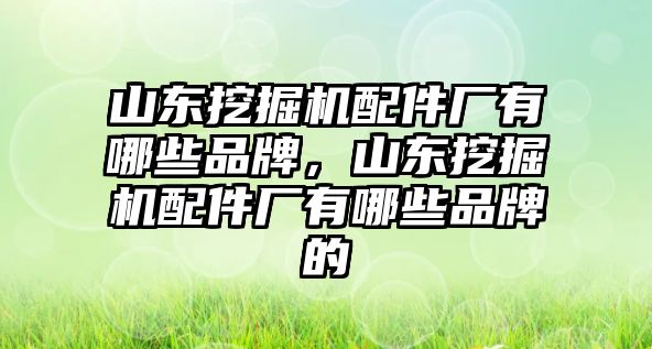 山東挖掘機配件廠有哪些品牌，山東挖掘機配件廠有哪些品牌的