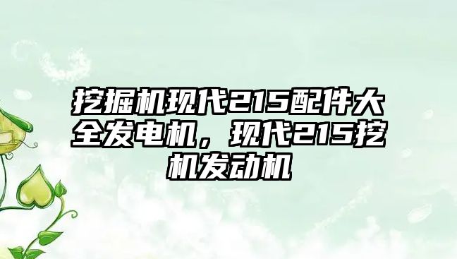 挖掘機現(xiàn)代215配件大全發(fā)電機，現(xiàn)代215挖機發(fā)動機