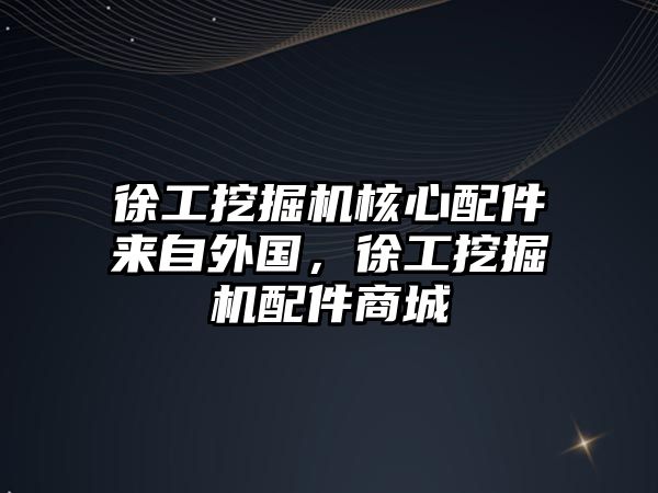 徐工挖掘機核心配件來自外國，徐工挖掘機配件商城