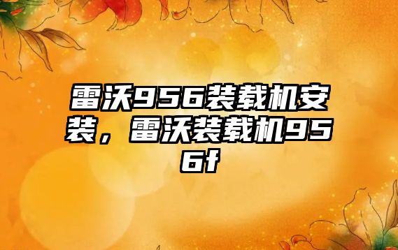 雷沃956裝載機安裝，雷沃裝載機956f