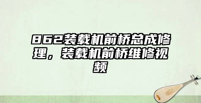 862裝載機前橋總成修理，裝載機前橋維修視頻