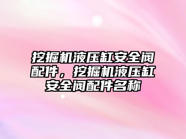 挖掘機液壓缸安全閥配件，挖掘機液壓缸安全閥配件名稱