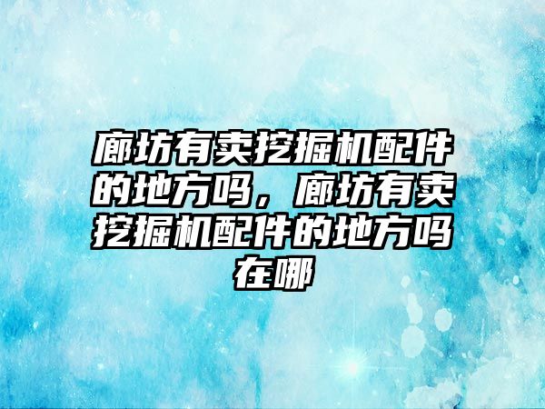 廊坊有賣挖掘機配件的地方嗎，廊坊有賣挖掘機配件的地方嗎在哪