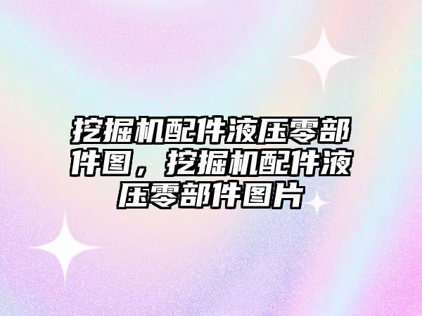 挖掘機配件液壓零部件圖，挖掘機配件液壓零部件圖片