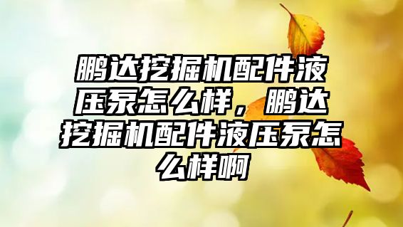 鵬達挖掘機配件液壓泵怎么樣，鵬達挖掘機配件液壓泵怎么樣啊