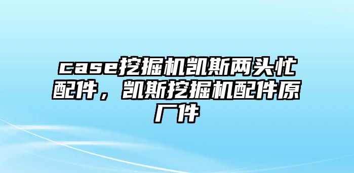 case挖掘機凱斯兩頭忙配件，凱斯挖掘機配件原廠件