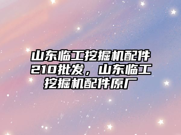 山東臨工挖掘機配件210批發，山東臨工挖掘機配件原廠