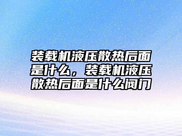 裝載機液壓散熱后面是什么，裝載機液壓散熱后面是什么閥門