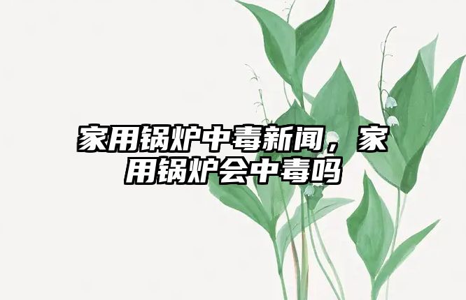 家用鍋爐中毒新聞，家用鍋爐會中毒嗎