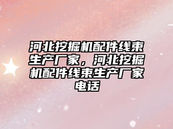 河北挖掘機配件線束生產廠家，河北挖掘機配件線束生產廠家電話