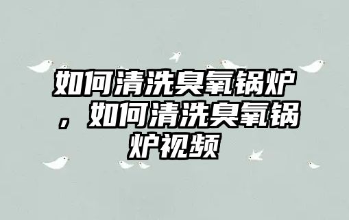 如何清洗臭氧鍋爐，如何清洗臭氧鍋爐視頻