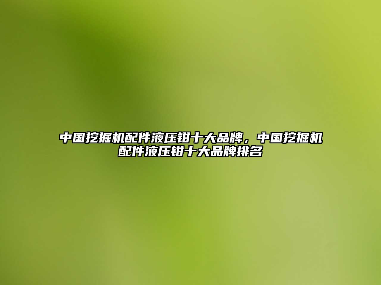 中國挖掘機配件液壓鉗十大品牌，中國挖掘機配件液壓鉗十大品牌排名