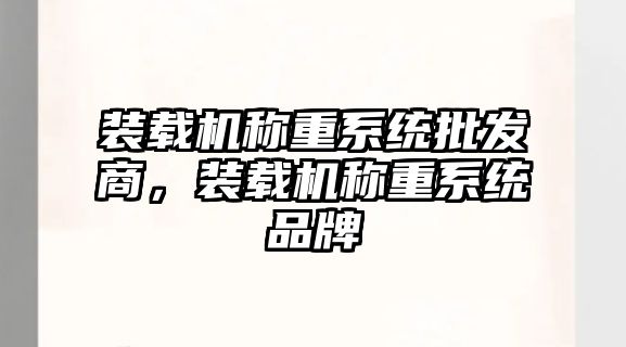 裝載機稱重系統批發商，裝載機稱重系統品牌