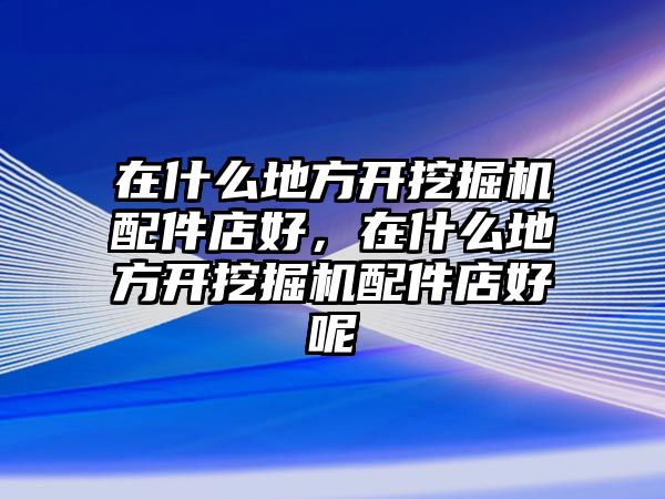 在什么地方開挖掘機配件店好，在什么地方開挖掘機配件店好呢