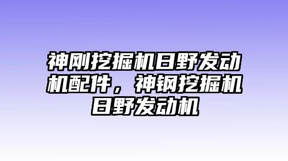 神剛挖掘機日野發動機配件，神鋼挖掘機日野發動機