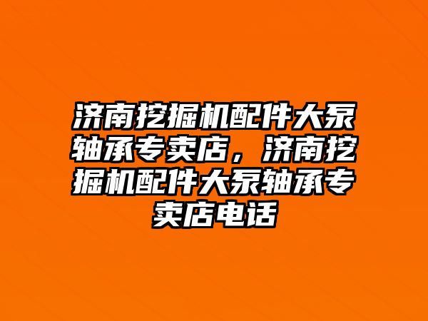 濟南挖掘機配件大泵軸承專賣店，濟南挖掘機配件大泵軸承專賣店電話