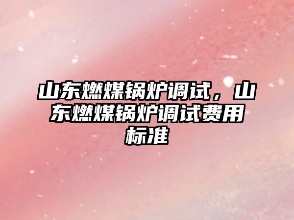 山東燃煤鍋爐調試，山東燃煤鍋爐調試費用標準