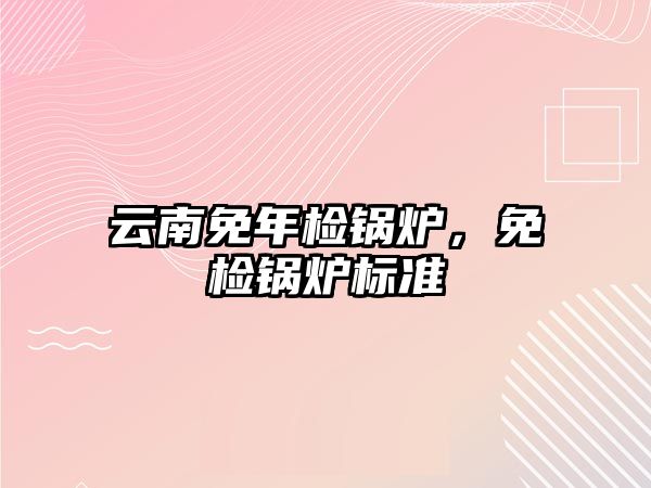 云南免年檢鍋爐，免檢鍋爐標準