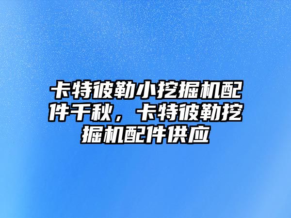 卡特彼勒小挖掘機配件千秋，卡特彼勒挖掘機配件供應