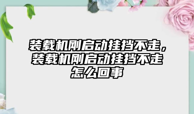 裝載機(jī)剛啟動掛擋不走，裝載機(jī)剛啟動掛擋不走怎么回事