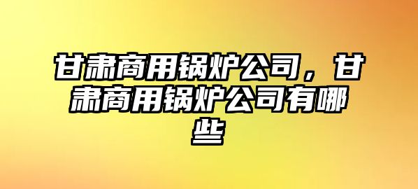 甘肅商用鍋爐公司，甘肅商用鍋爐公司有哪些