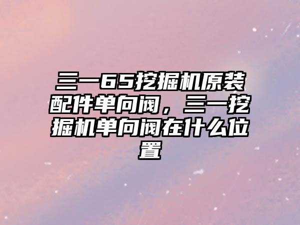 三一65挖掘機原裝配件單向閥，三一挖掘機單向閥在什么位置