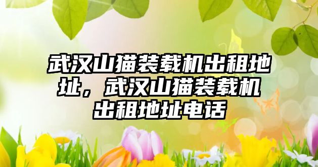 武漢山貓裝載機出租地址，武漢山貓裝載機出租地址電話