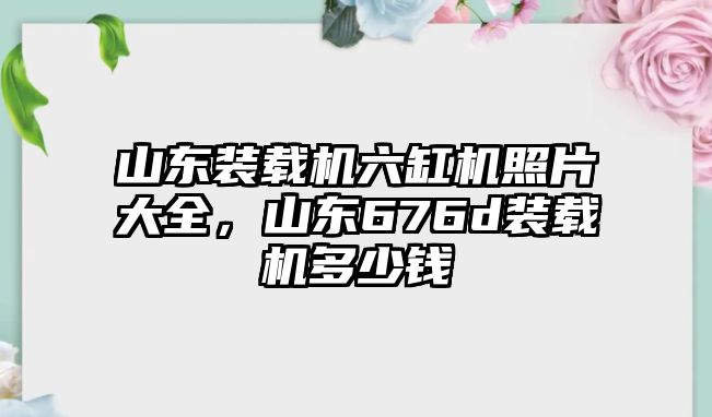 山東裝載機六缸機照片大全，山東676d裝載機多少錢