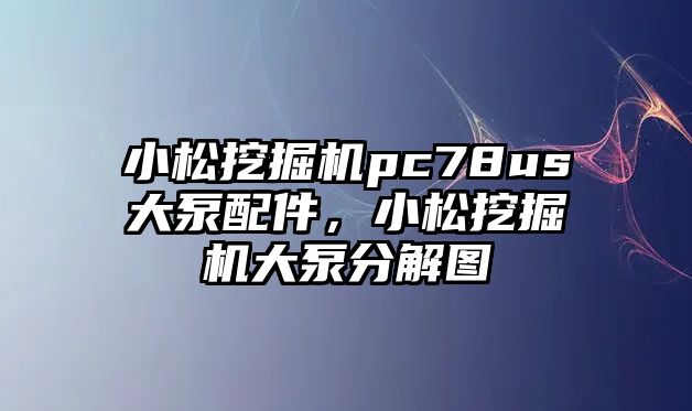 小松挖掘機pc78us大泵配件，小松挖掘機大泵分解圖