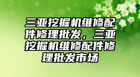 三亞挖掘機維修配件修理批發，三亞挖掘機維修配件修理批發市場