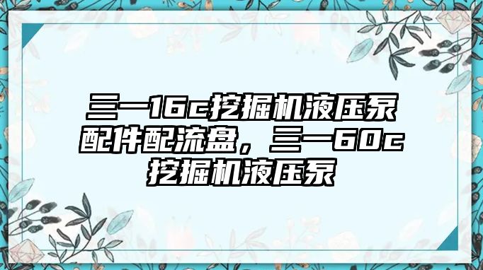 三一16c挖掘機液壓泵配件配流盤，三一60c挖掘機液壓泵