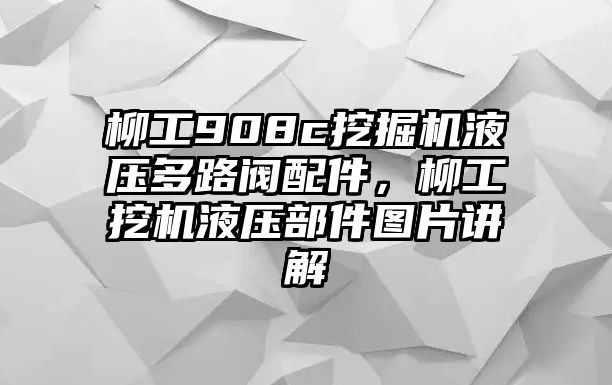 柳工908c挖掘機液壓多路閥配件，柳工挖機液壓部件圖片講解