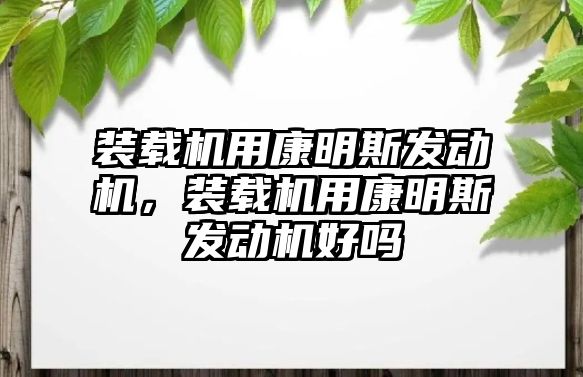 裝載機用康明斯發動機，裝載機用康明斯發動機好嗎