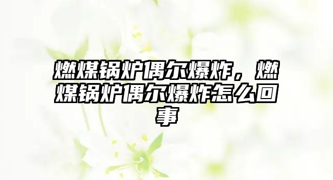 燃煤鍋爐偶爾爆炸，燃煤鍋爐偶爾爆炸怎么回事