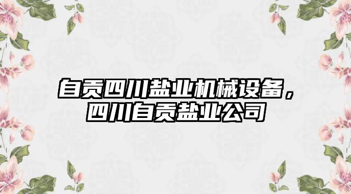 自貢四川鹽業(yè)機(jī)械設(shè)備，四川自貢鹽業(yè)公司