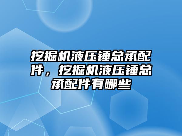 挖掘機液壓錘總承配件，挖掘機液壓錘總承配件有哪些