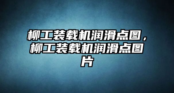 柳工裝載機(jī)潤(rùn)滑點(diǎn)圖，柳工裝載機(jī)潤(rùn)滑點(diǎn)圖片