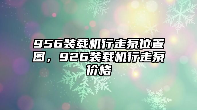 956裝載機行走泵位置圖，926裝載機行走泵價格