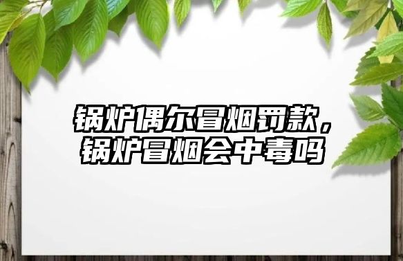 鍋爐偶爾冒煙罰款，鍋爐冒煙會中毒嗎