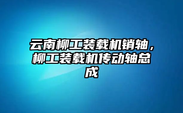 云南柳工裝載機銷軸，柳工裝載機傳動軸總成