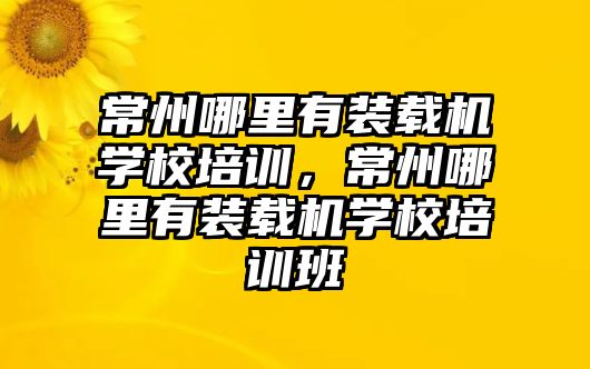 常州哪里有裝載機(jī)學(xué)校培訓(xùn)，常州哪里有裝載機(jī)學(xué)校培訓(xùn)班